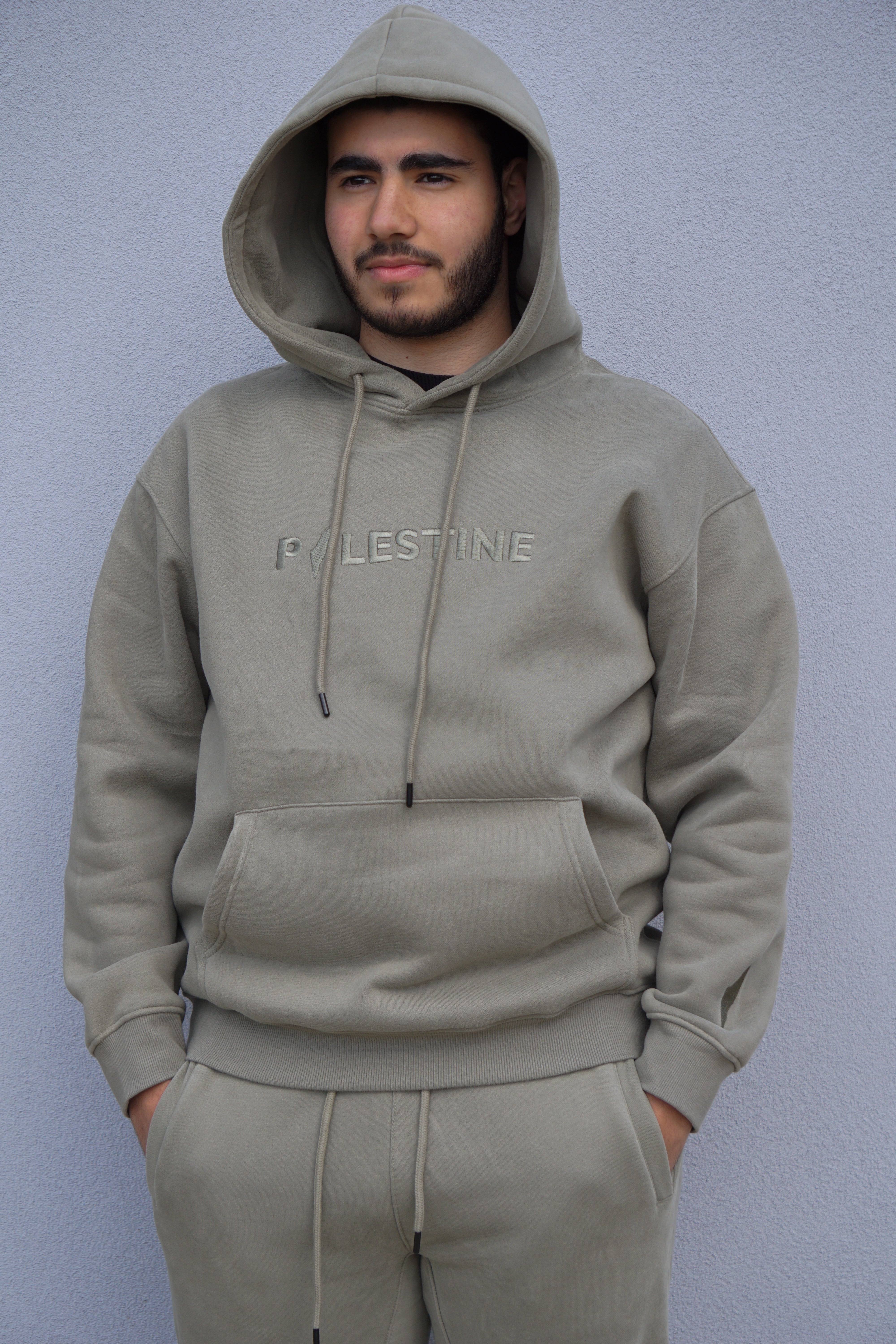 Essential Palestine Adults Hoodie - Sage